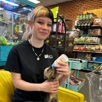 Cat's Critters: Exotic Pets ico