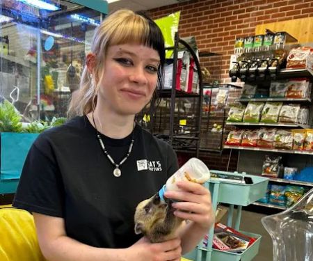 Cat's Critters: Exotic Pets