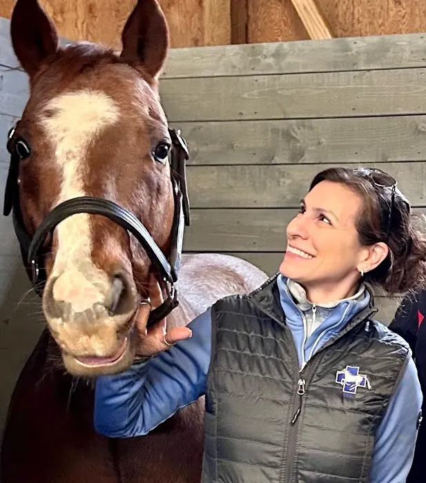 Virginia Equine Rehabilitation & Performance Center Picture 2