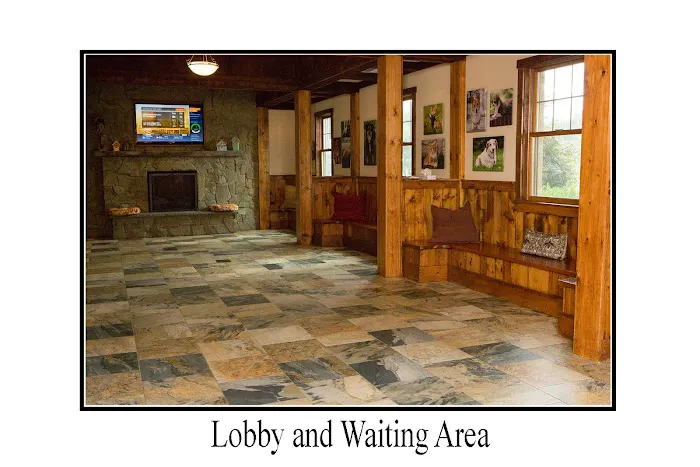 Leesburg Veterinary Hospital Picture 3