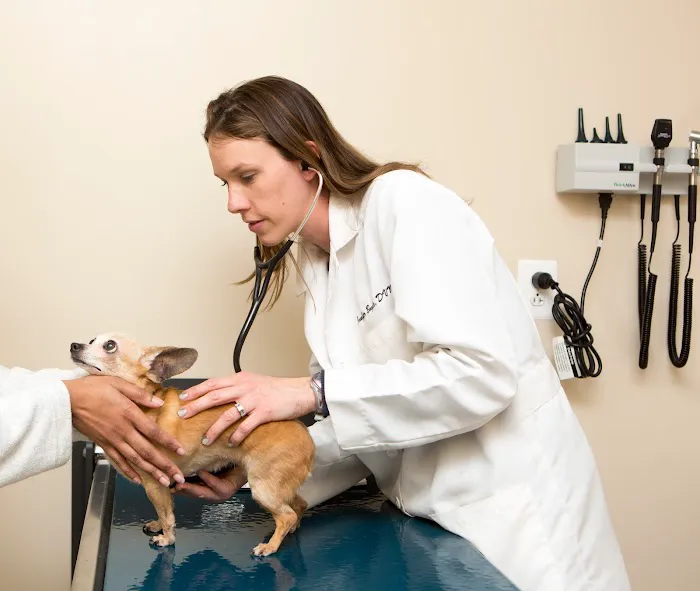 Leesburg Veterinary Hospital Picture 2
