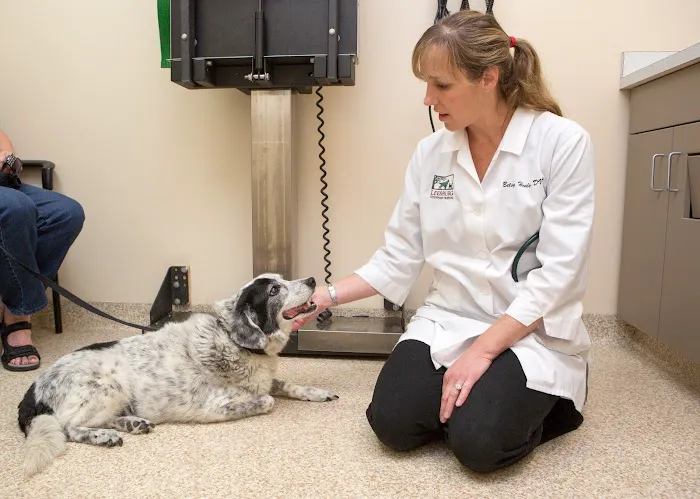 Leesburg Veterinary Hospital Picture 9