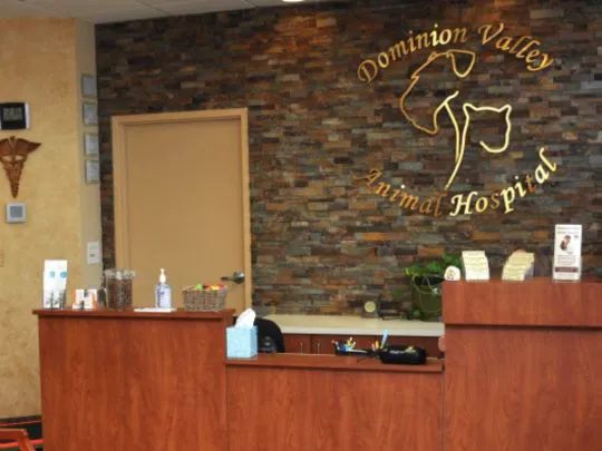 Dominion Valley Animal Hospital Picture 4
