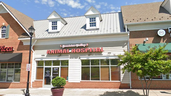Dominion Valley Animal Hospital Picture 10