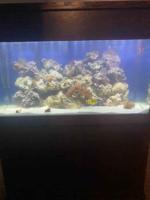 Aqualife Aquarium Systems Picture 1