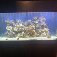 Aqualife Aquarium Systems ico