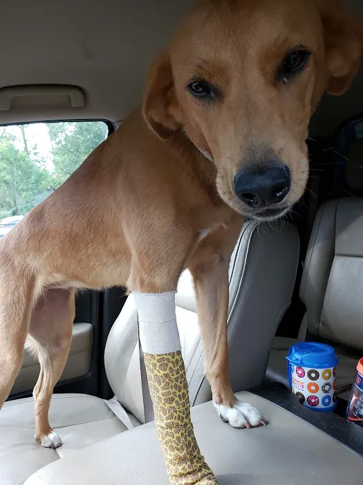 New Baltimore Animal Hospital Picture 2