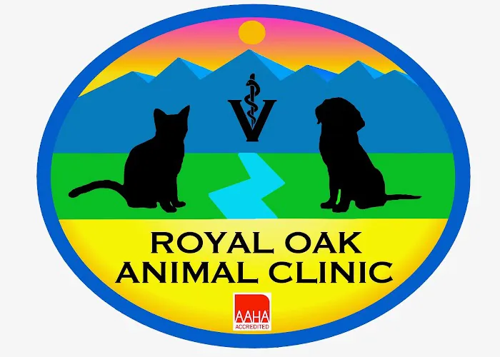 Royal Oak Animal Clinic Picture 8