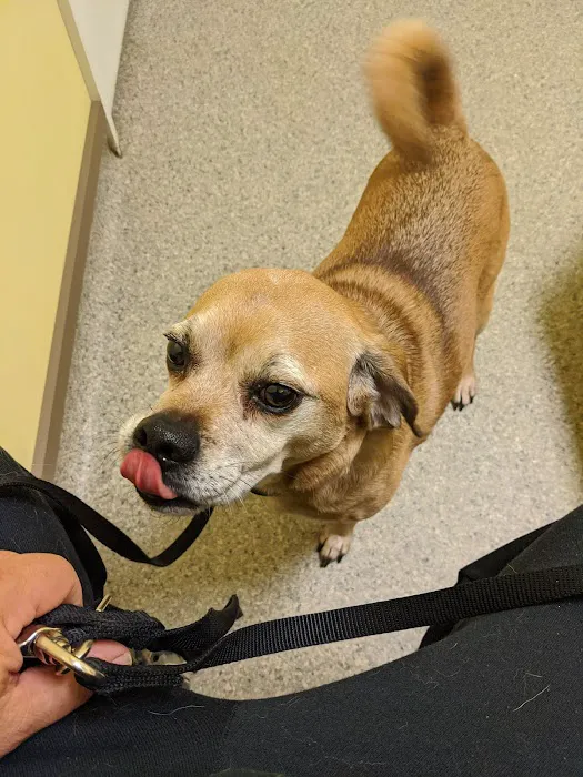 Warren County Veterinary Clinic Picture 8