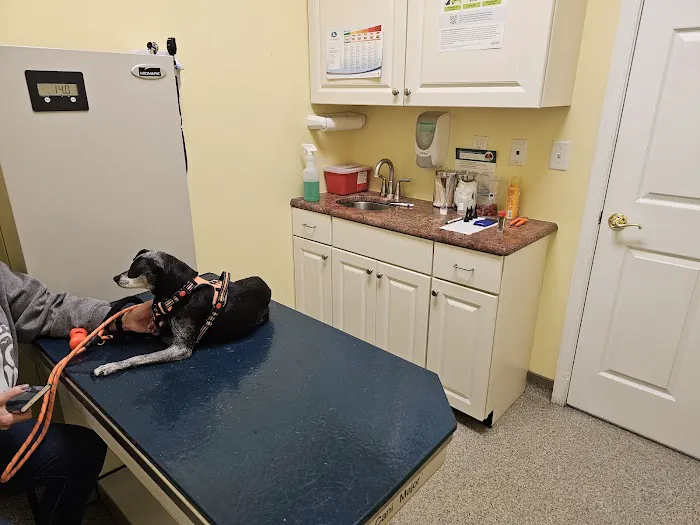 Warren County Veterinary Clinic Picture 5