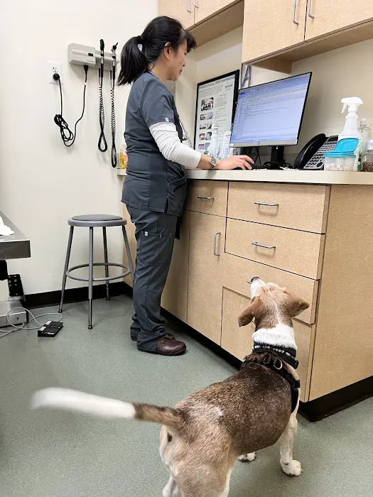 Family Veterinary Hospital of Stone Ridge Picture 9