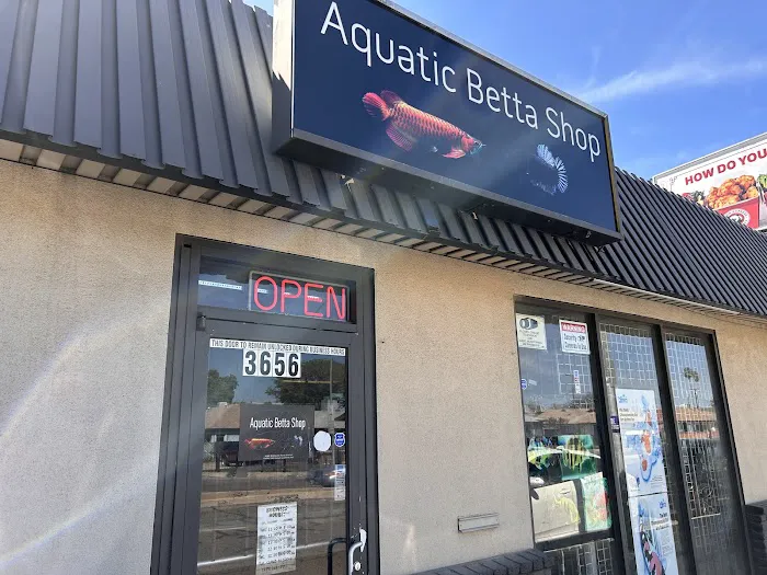 Aquatic Betta Shop Picture 8