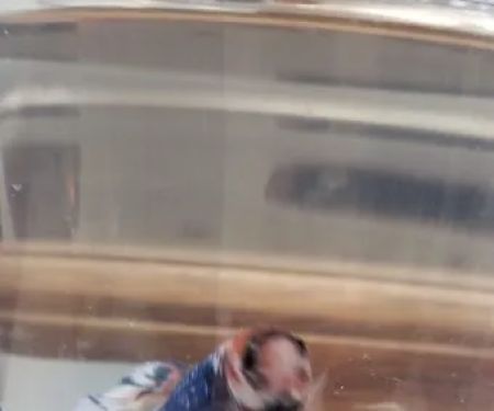 Aquatic Betta Shop
