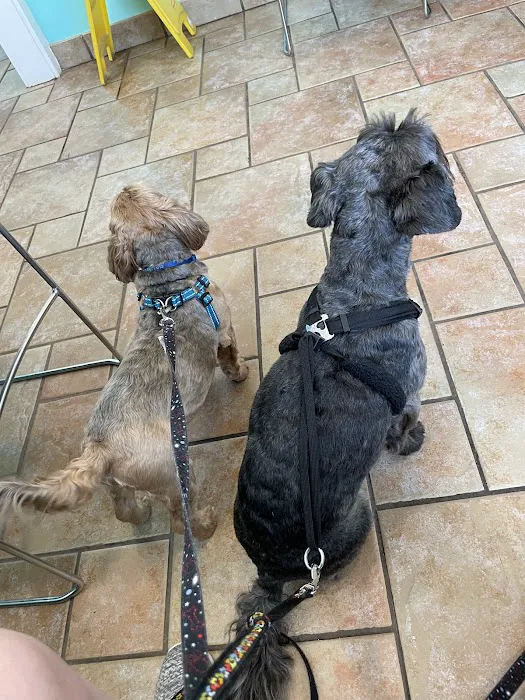 VCA Healthy PAWS Medical Center Picture 2