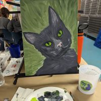 VCA Healthy PAWS Medical Center ico