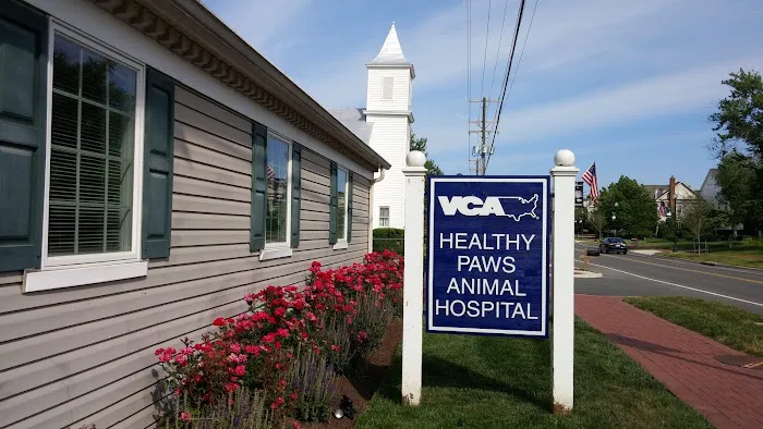 VCA Healthy PAWS Medical Center Picture 3