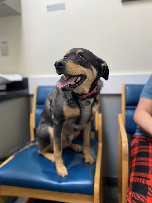 Animal Medical Centers of Loudoun - Brambleton Picture 1