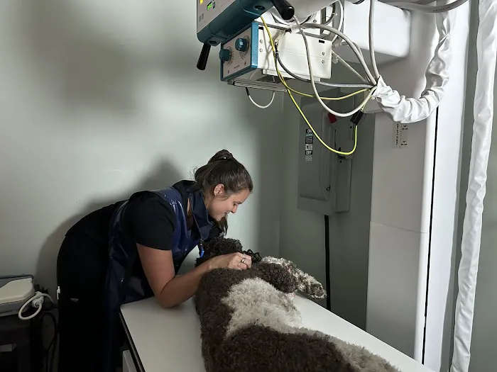 Animal Medical Centers of Loudoun - Brambleton Picture 2