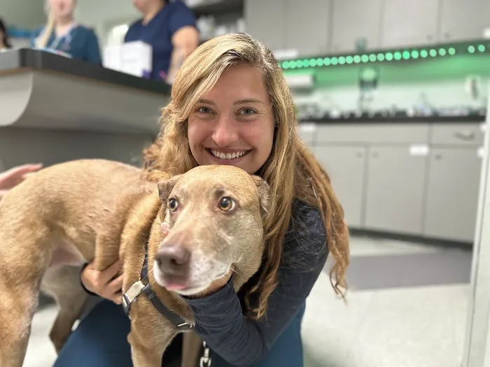 Animal Medical Centers of Loudoun - Brambleton Picture 7