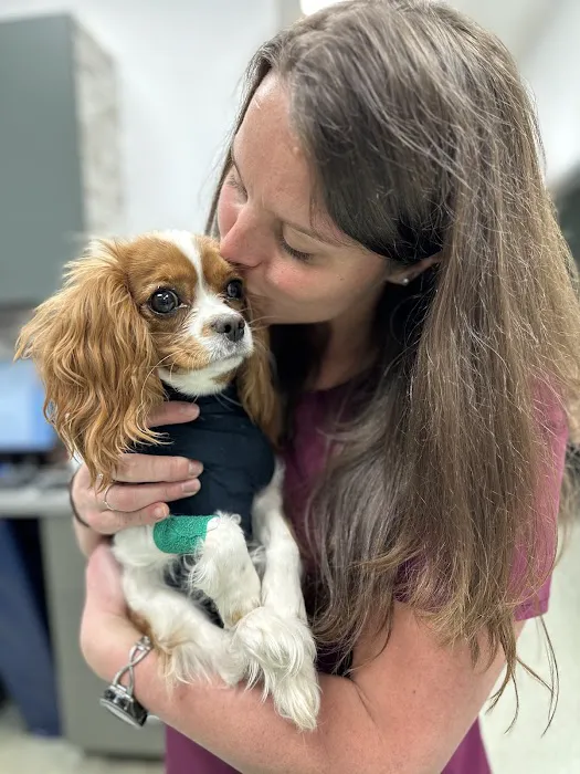Animal Medical Centers of Loudoun - Brambleton Picture 4