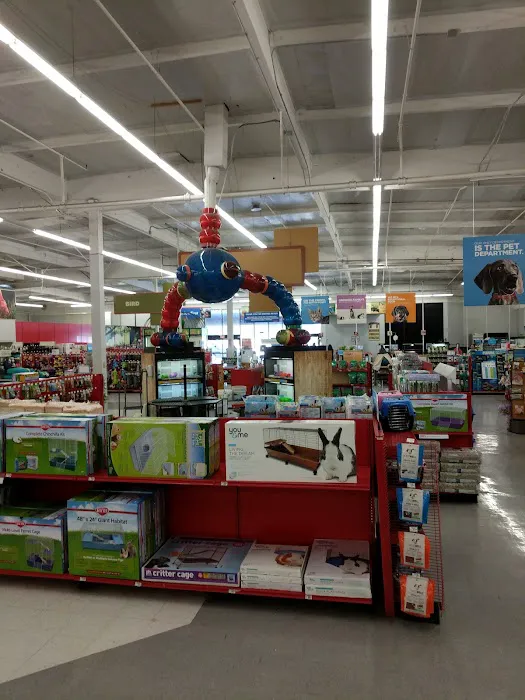 Petco Picture 1