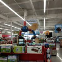 Petco ico