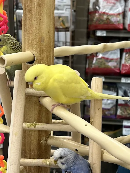 Petco Picture 2