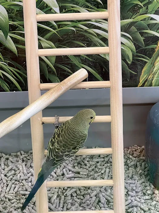 Petco Picture 4