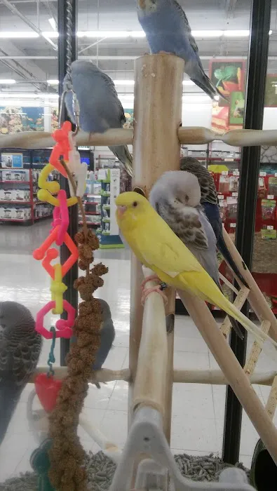 Petco Picture 5