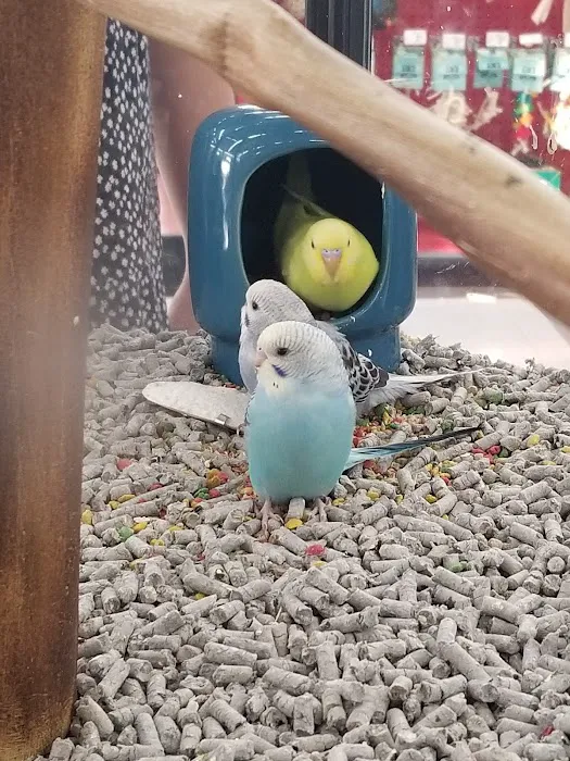 Petco Picture 8