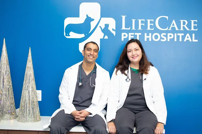 LifeCare Pet Hospital Picture 5