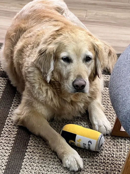 LifeCare Pet Hospital Picture 2