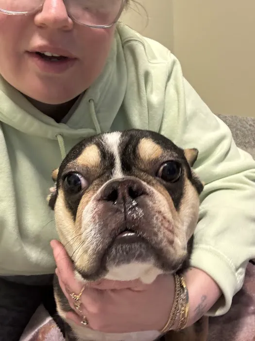 LifeCare Pet Hospital Picture 3