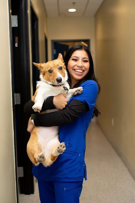 LifeCare Pet Hospital Picture 9