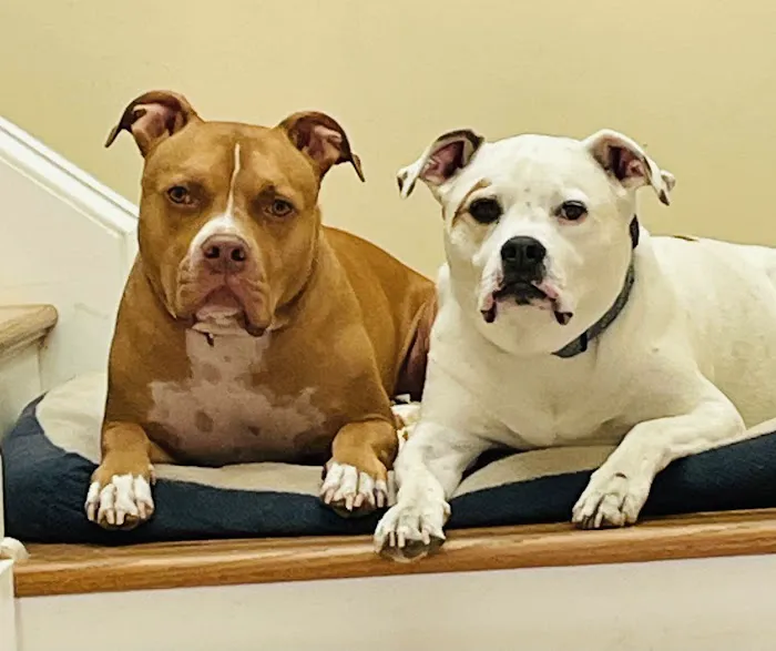 LifeCare Pet Hospital Picture 10