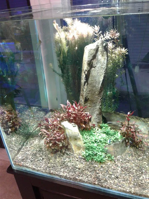 Blue Planet Aquarium Picture 2