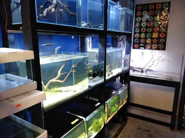 Blue Planet Aquarium Picture 1