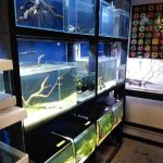 Blue Planet Aquarium