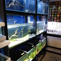 Blue Planet Aquarium ico