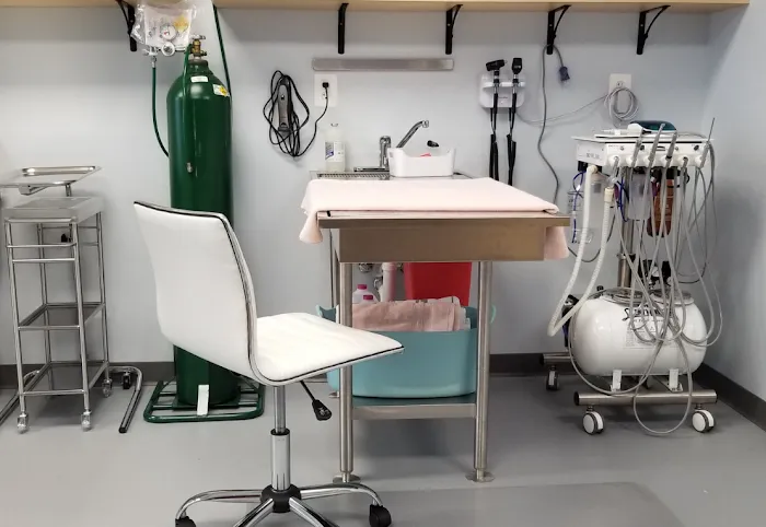 Pets and Vets Animal Hospital Picture 8