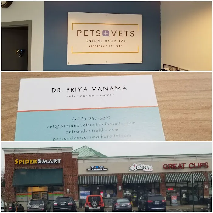 Pets and Vets Animal Hospital Picture 5
