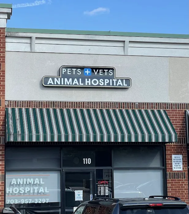Pets and Vets Animal Hospital Picture 6