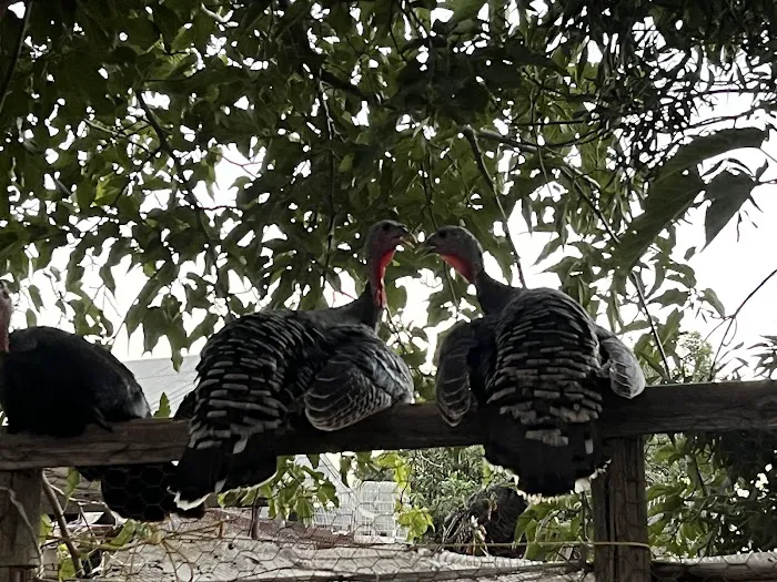Rancho El Pino Picture 8