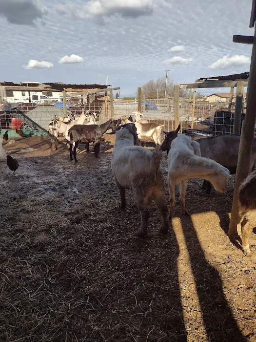 Rancho El Pino Picture 6