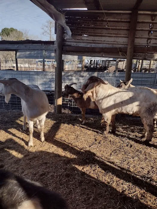 Rancho El Pino Picture 9