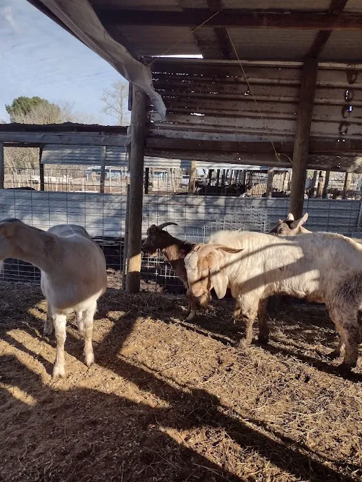 Rancho El Pino Picture 7