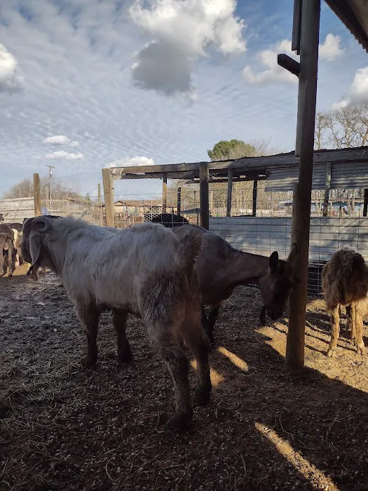 Rancho El Pino Picture 10