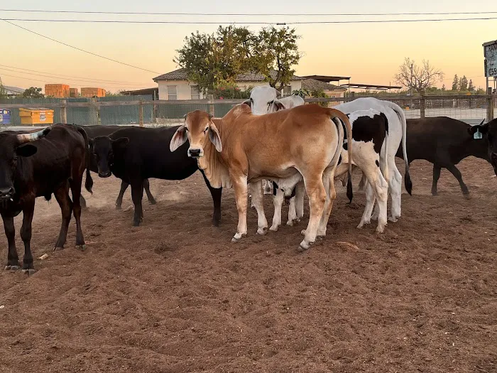Rancho El Pino Picture 1