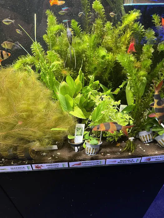 Aquatic Pets and Reptiles Picture 3