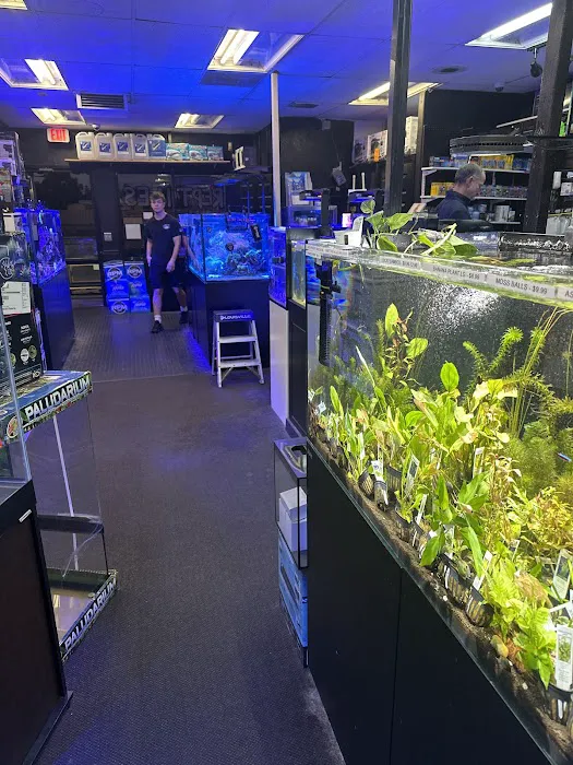 Aquatic Pets and Reptiles Picture 4